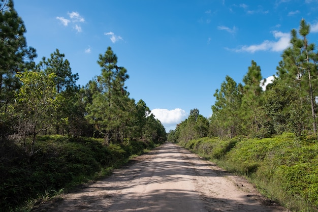 Trekking trail