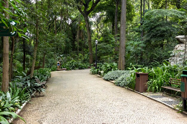 Trianon Park on Av Paulista in Sao Paulo SP Brazil Main avenue of the city