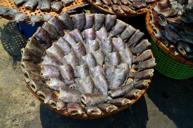 Trichogaster pectoralis,Fish is one of the most popular foods in Thailand.