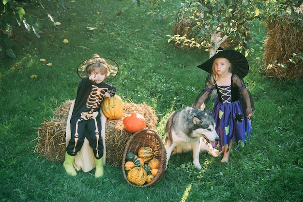 Trickortreat child concept Happy Halloween jackolantern Children in America celebrate Halloween