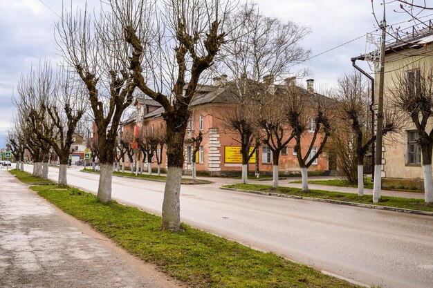 Trimmed tree branches. low-rise houses in the old style. cloudy autumn day in a provincial town