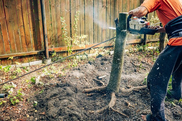 Trimming trees in garden concept seasonal work in greenhouse man working with chainsaw sawdust from