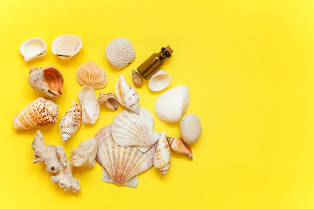 Tropical Background Seashell and glass bottle on yellow colourful trendy modern fashion background Vacation travel summer weekend sea adventure trip concept