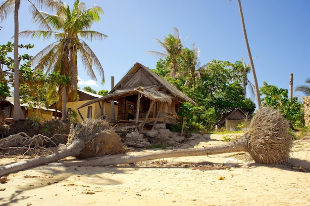 Tropical beach after storm