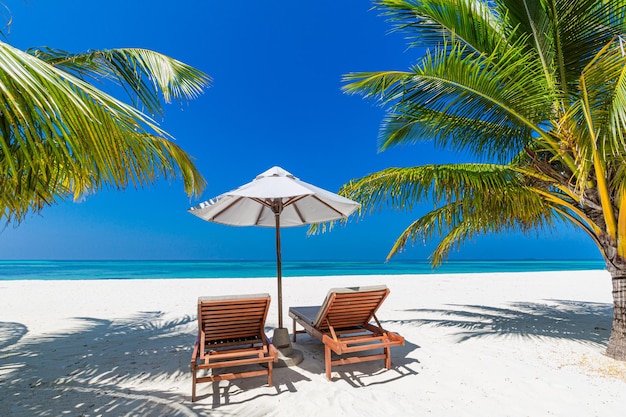 Tropical beach background as summer landscape with lounge chairs palm trees calm sea beach banner