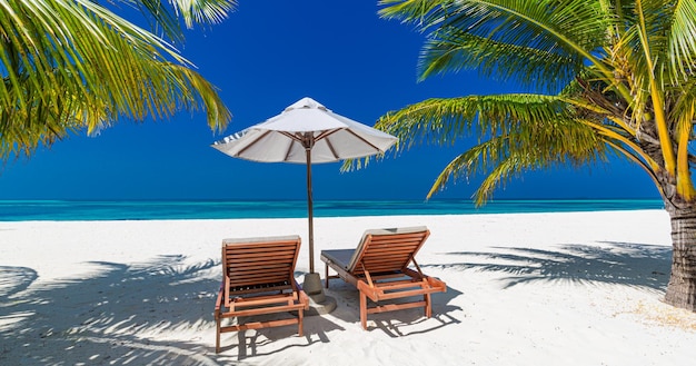 Tropical beach background as summer landscape with lounge chairs palm trees calm sea beach banner