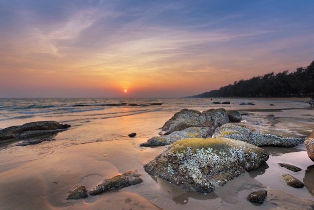 Tropical beach background