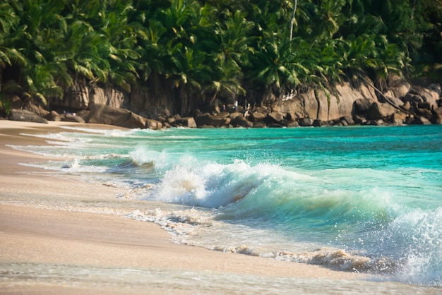 Tropical beach at Mahe island Seychelles