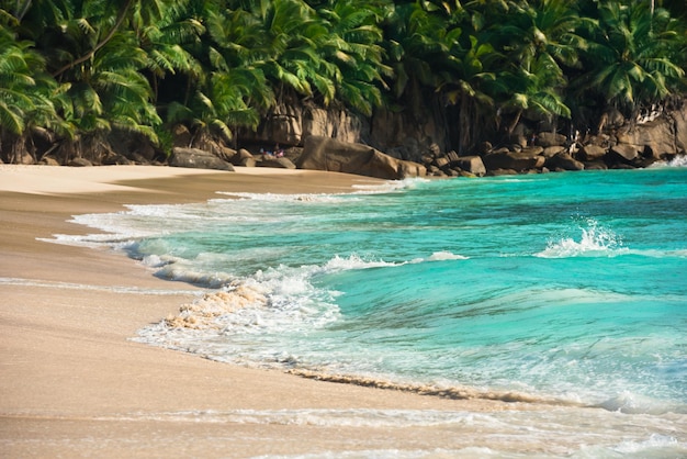 Tropical beach at Mahe island Seychelles