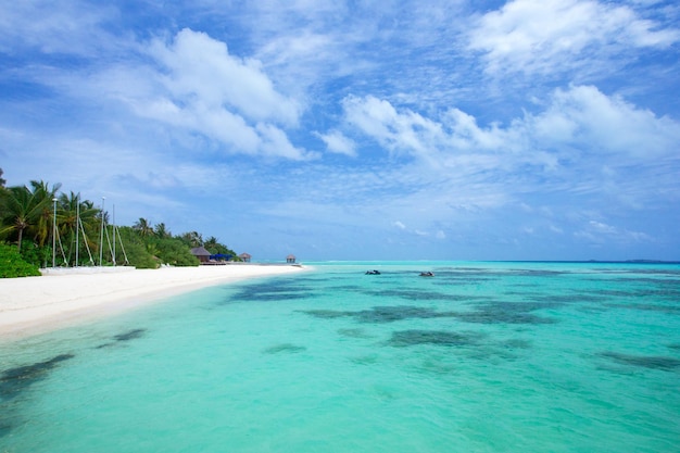 Tropical beach in Maldives with few palm trees and blue lagoon