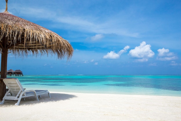 Tropical beach in Maldives with few palm trees and blue lagoon