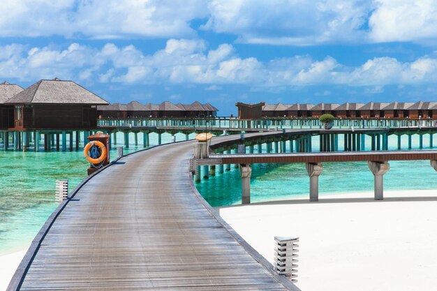 Tropical beach in Maldives with few palm trees and blue lagoon