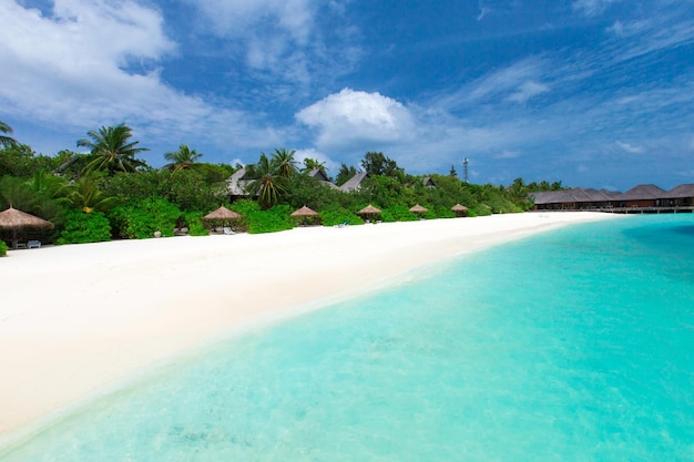 Tropical beach in Maldives with few palm trees and blue lagoon