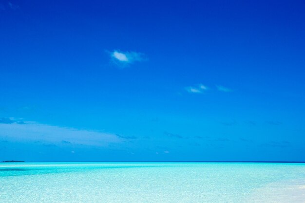 Tropical beach in Maldives with few palm trees and blue lagoon