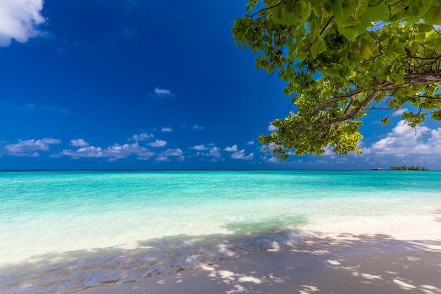 Tropical beach in Maldives with palm trees and vibrant lagoon