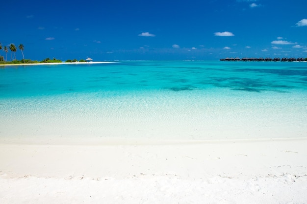 Tropical beach in Maldives