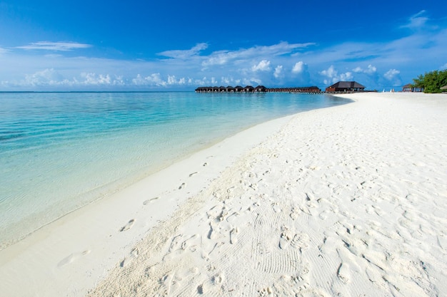 Tropical beach in Maldives