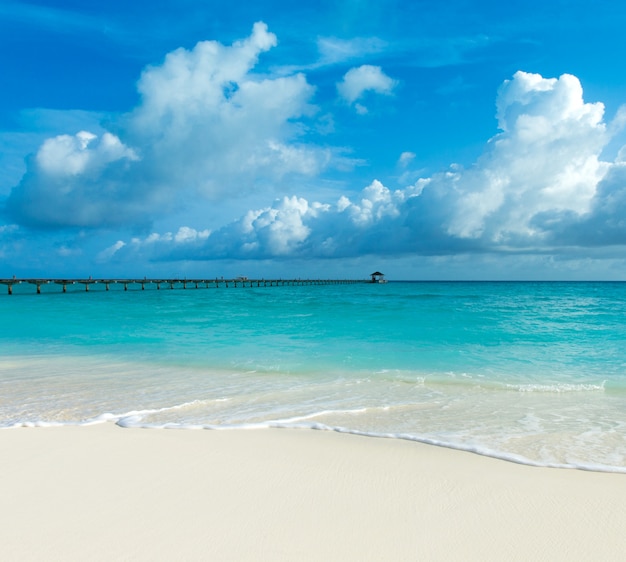 Tropical beach in Maldives