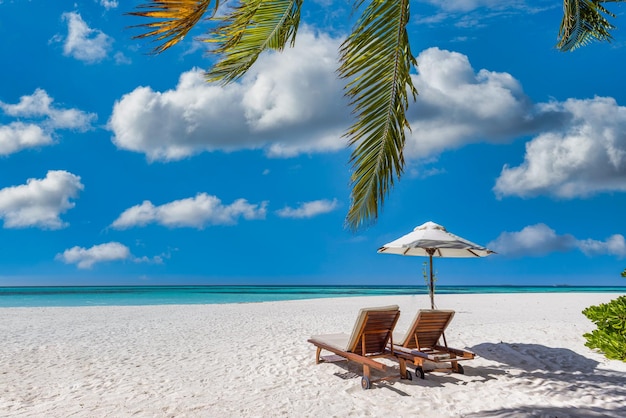 Tropical beach nature as summer landscape with couple chairs, beds under palm trees, calm sea sky