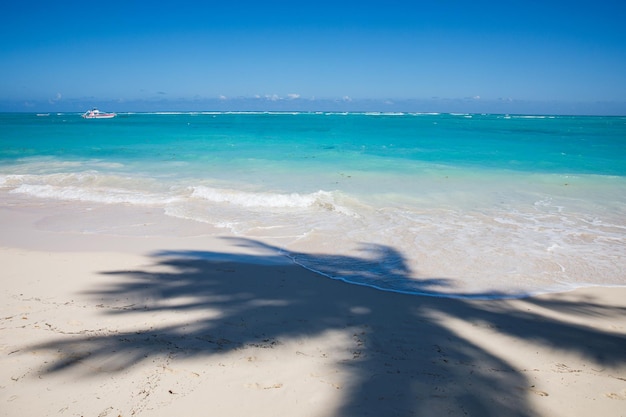 Tropical beach palm tree and travel boat in punta cana dominican republic