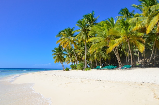 Tropical Beach, Saona Island, Dominican Republic.