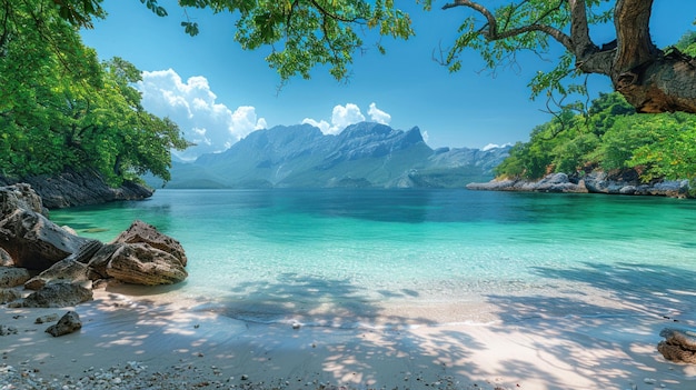 tropical beach and sea landscape Beautiful beach with palm trees and moody