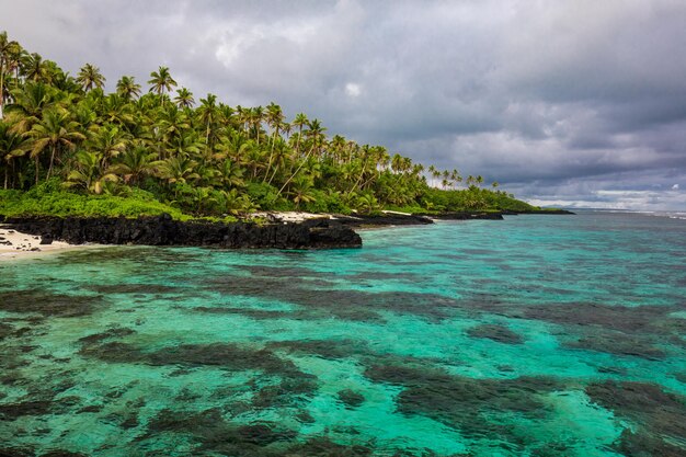 Photo tropical beach on south side of samoa island with coconut palm trees