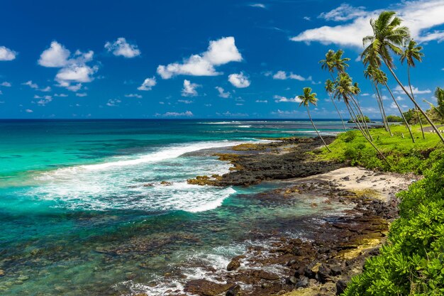 Tropical beach on south side of Samoa Island with coconut palm trees