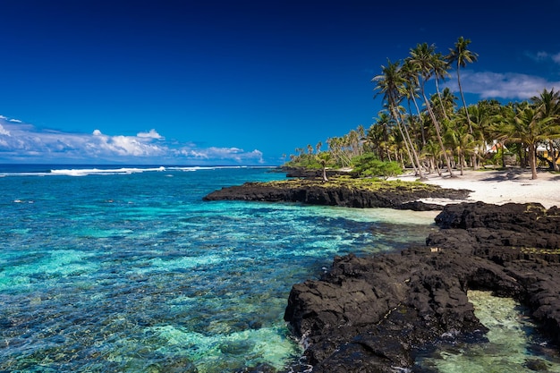 Tropical beach on south side of Samoa Island with coconut palm trees