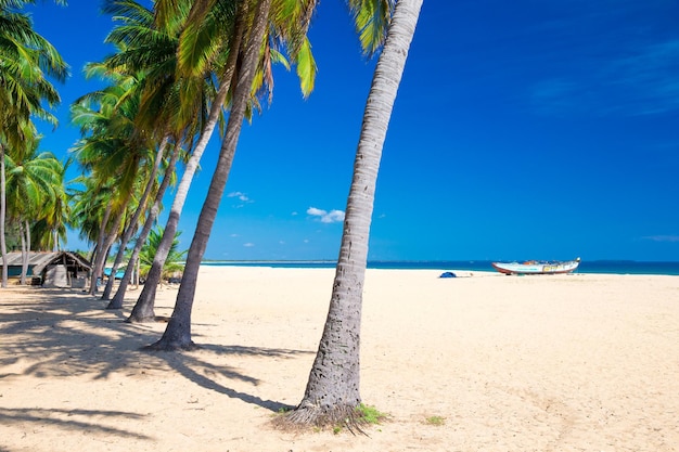 Tropical beach in Sri Lanka