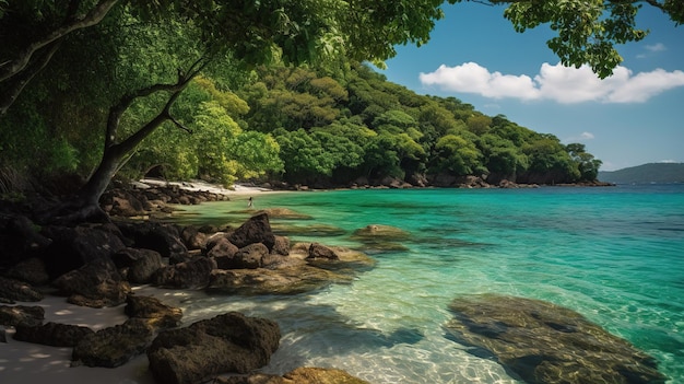 A tropical beach with a blue ocean and trees in the background.