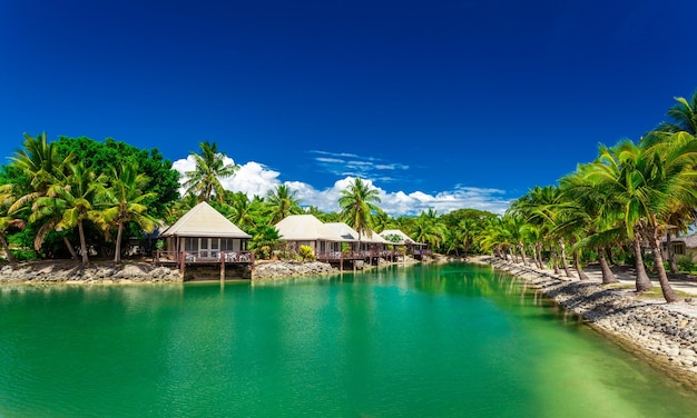 Tropical beach with coconut palm trees and clear lagoon Fiji Islands