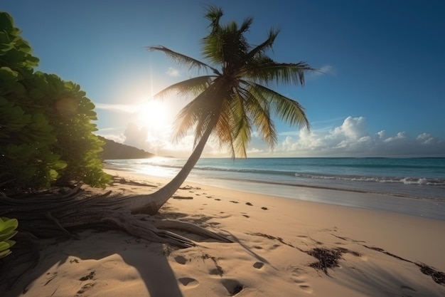 Tropical beach with palm tree at sunrise Seychelles A beautiful tropical beach view with a clear blue ocean AI Generated