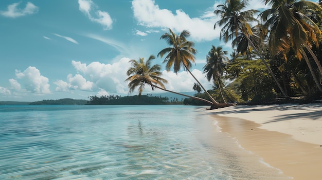 A tropical beach with palm trees and turquoise water