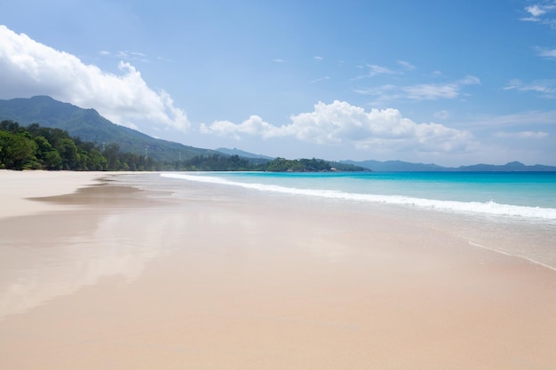 Tropical beach with palm trees