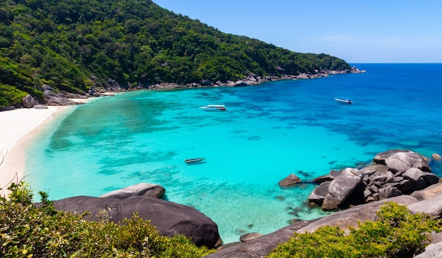 Photo tropical beaches have warm clear blue water and blue sky background or scenery at similan islands