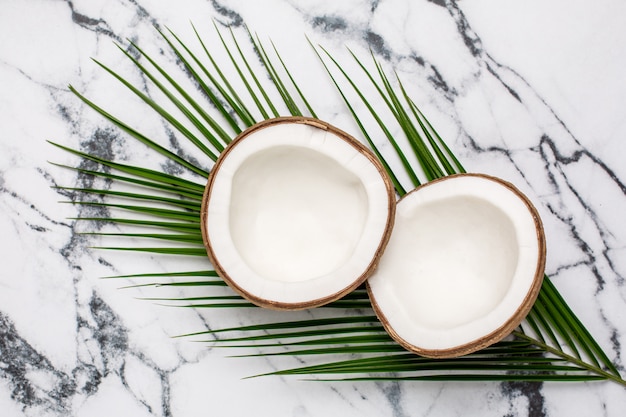 Tropical coconut and palm tree on marble