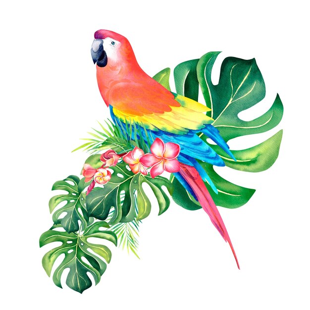 A tropical composition of palm branches and a red Macaw parrot Watercolor illustration Exotic birds Monstera Banana leaves