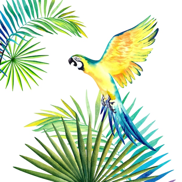 A tropical composition of palm branches and a yellow Macaw parrot Watercolor Monstera leaves