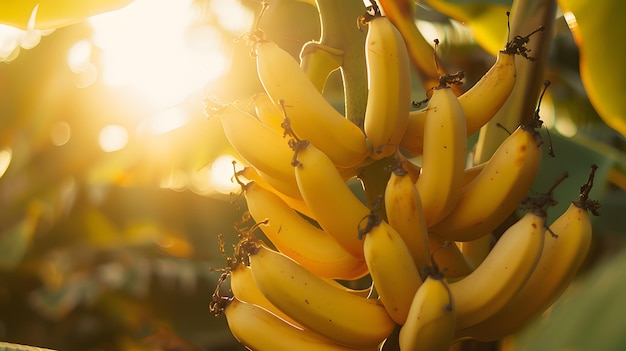 Tropical delight bountiful clusters ripe bananas AI Image