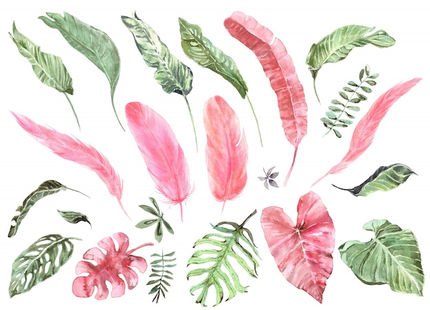 Tropical Exotic Leaves And Pink Flamingo Feathers Watercolor Set