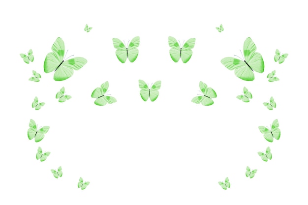 Tropical flock of flying colored butterflies isolated on white green butterflies tropical moths flying insects