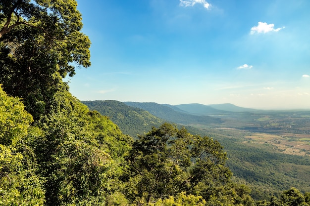 tropical forest landscape with mountain and blue sky background