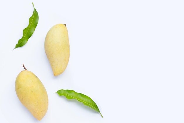 Tropical fruit Mango on white background