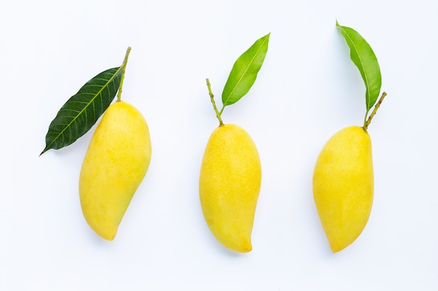 Tropical fruit, Mango  on white background.