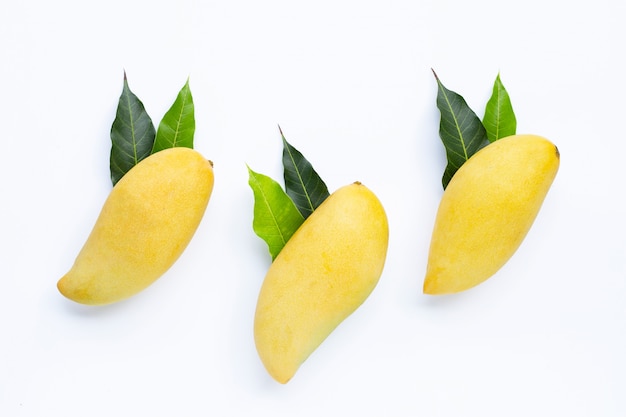 Tropical fruit, Mango  on white surface