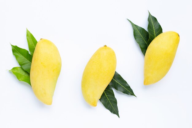 Tropical fruit, Mangoes  with leaves on white surface