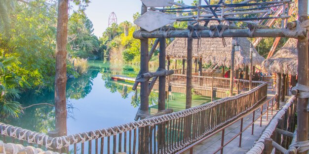 tropical garden and pond water