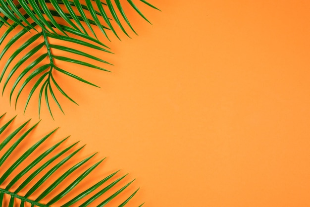 Tropical green leaf lay on orange background Top view