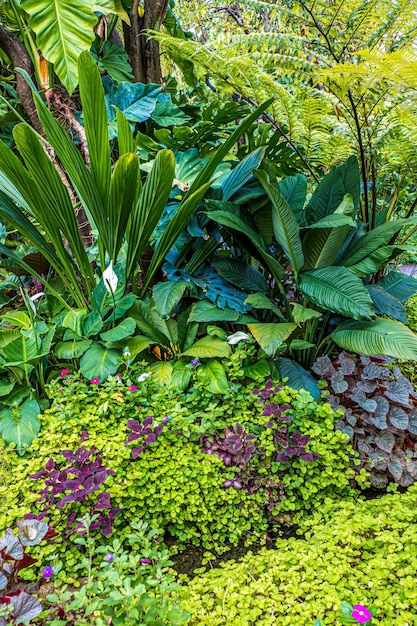 Tropical green leaves on dark background nature summer forest plant concept